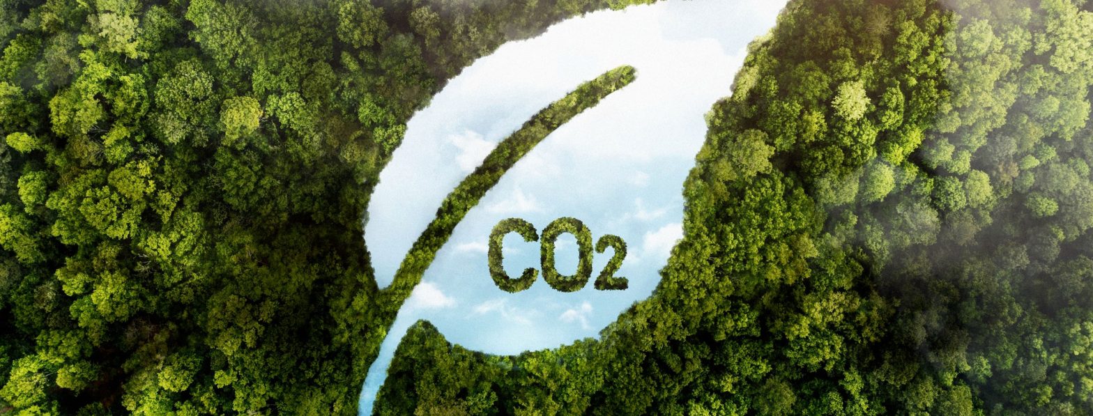 CO2 Reduction | Image by freepik